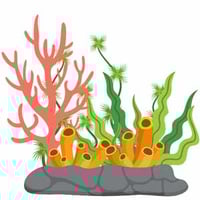 DEEP SEA MINING DEEP SEA MINING