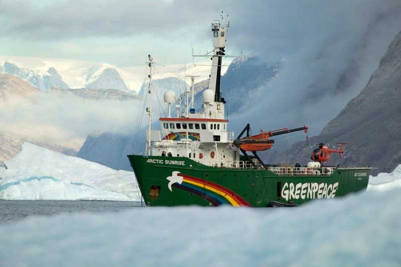 Greenpeace Arctic Polar Bears
