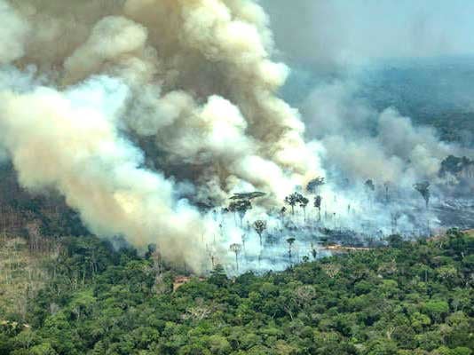 Greenpeace-Amazon-Deforestation-Investigate