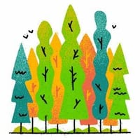 END DEFORESTATION END DEFORESTATION