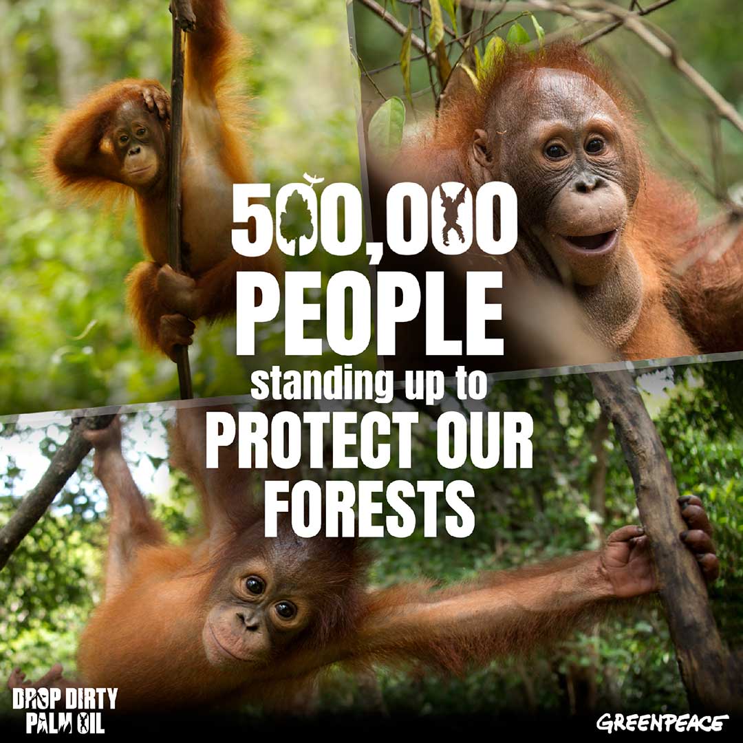Greenpeace-orangutans-act