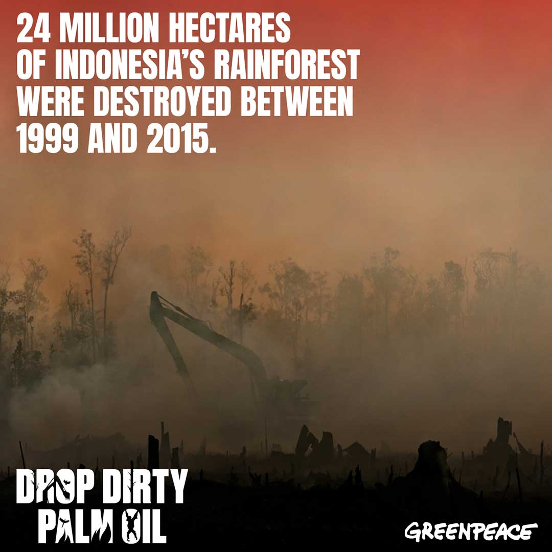 Greenpeace-orangutans-habitat-destroyed
