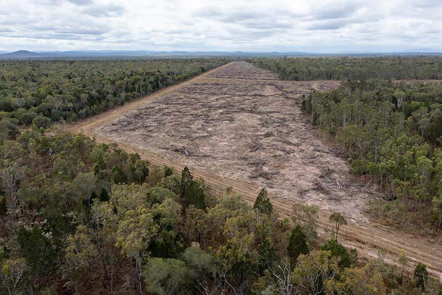  Deforestation for Beef Cattle at Mount Garnet, Queensland, Australia