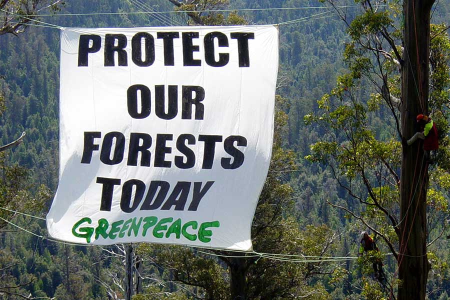 A banner reading 'Protect our forests today' hangs on trees