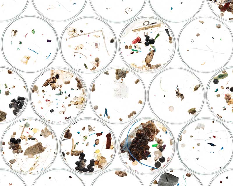 Microplastics