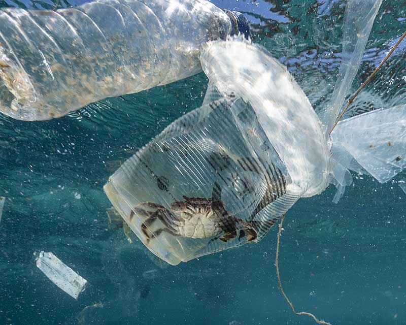 Plastic in ocean