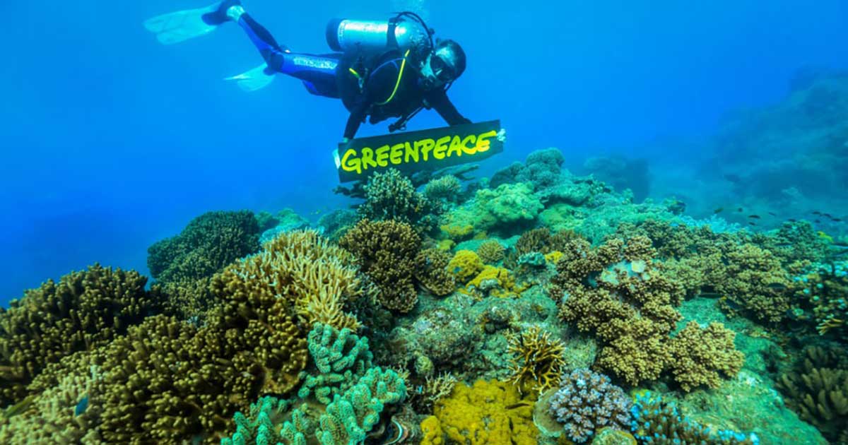 Greenpeace-Campaigns-Great-Barrier-Reef